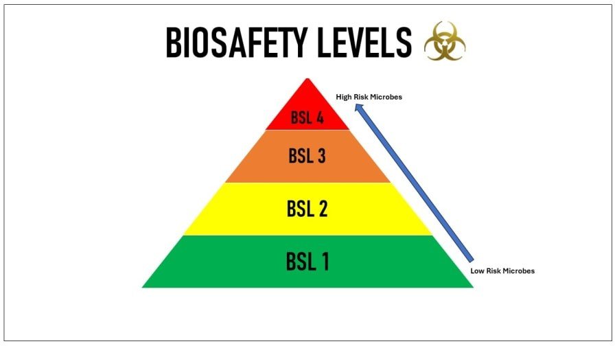 Biosafety-levels-pyramid