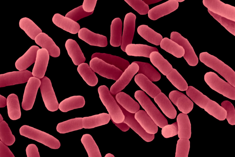 Read more about the article Objectionable Microorganisms in Nonsterile Pharmaceuticals