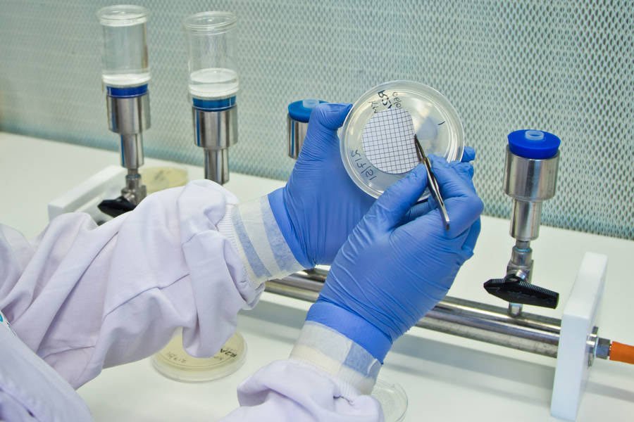 Read more about the article Five Essential Microbiology Lab Practices to Prevent Cross-Contamination